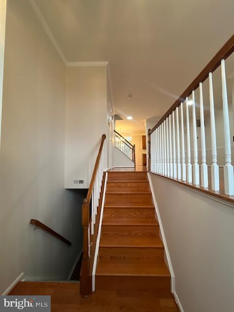 Building Photo - 3430 Brahms Dr