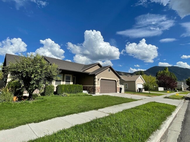 Primary Photo - 1173 S 520 W St