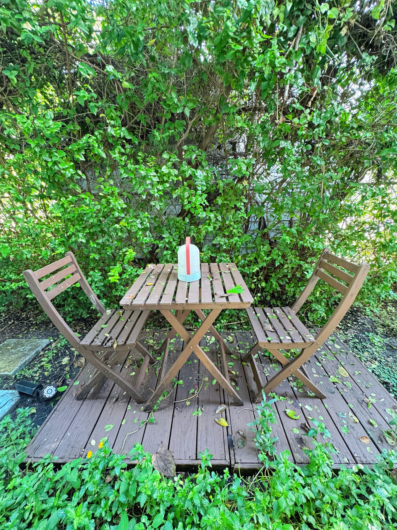 Outdoor area - 400 NE 110th Ter