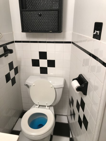 toilet area - 972 Goodrich Ave