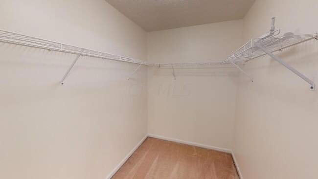 Building Photo - 6498 Ringsend Ct