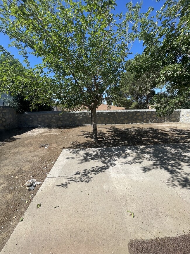 Building Photo - 12040 Sal Rasura Ct
