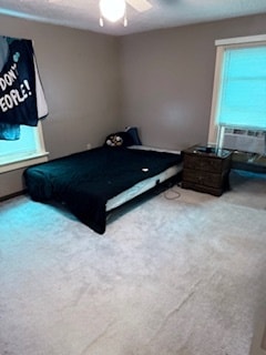 master bedroom(second Angle) - 956 Bedford St