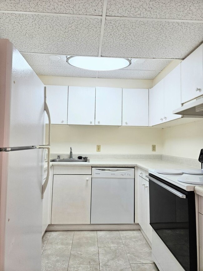 Building Photo - 311 ?Ohua Ave