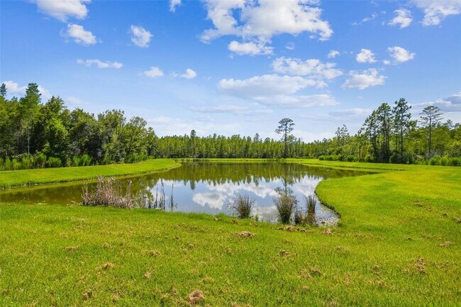 Building Photo - 9571 Little Bluestem Dr