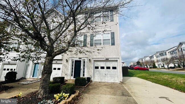 Building Photo - 11318 Wytheville Ln