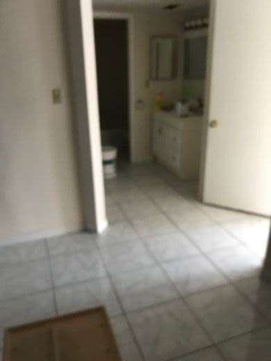 Building Photo - 2616 Lemon Tree Ln