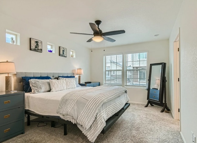 Building Photo - 10003 Yampa Ct