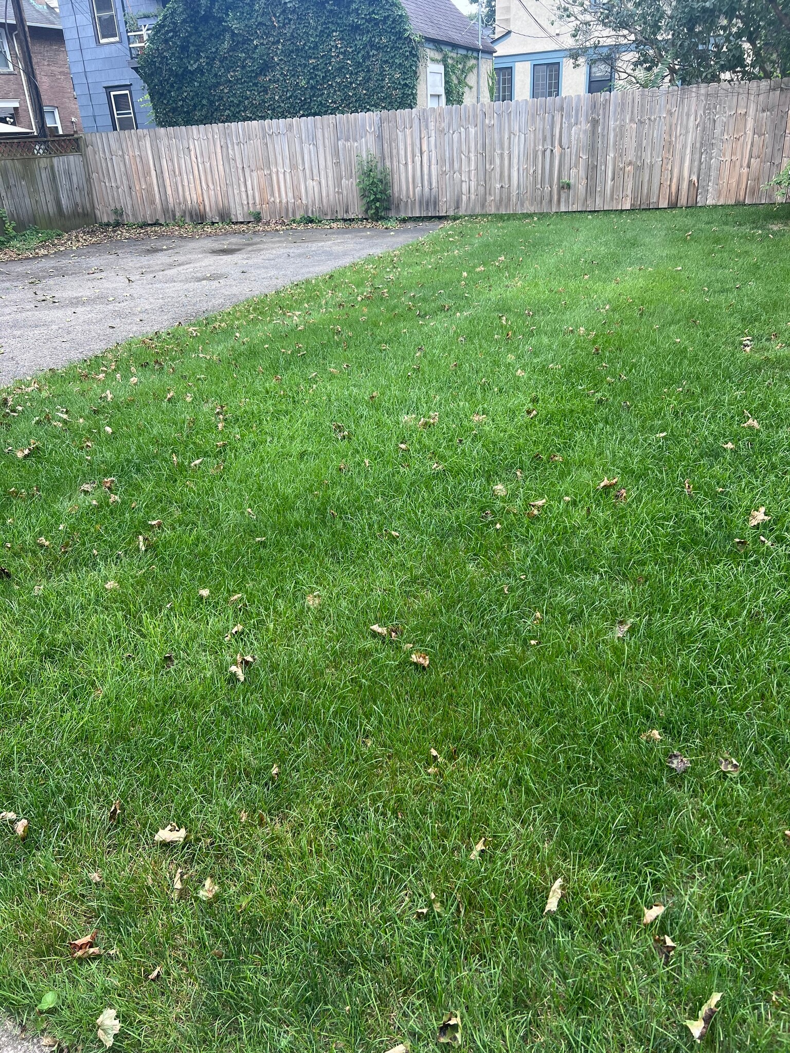 Backyard - 21 Audubon St