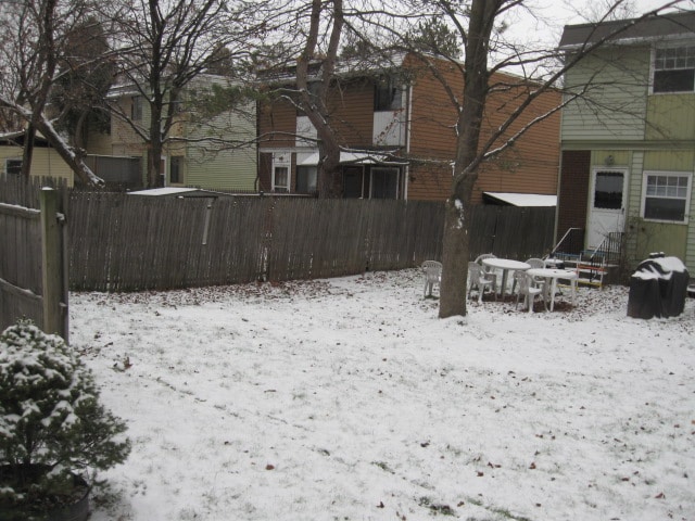 Rear Yard - 326D Cortland St