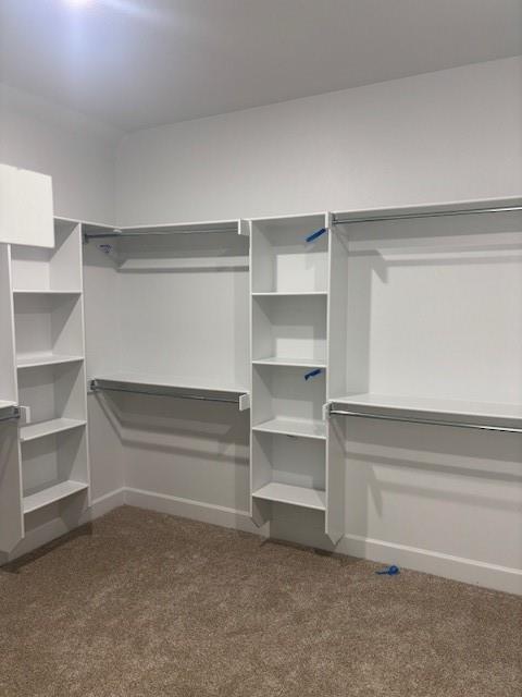 Building Photo - 2608 Blustery Dr