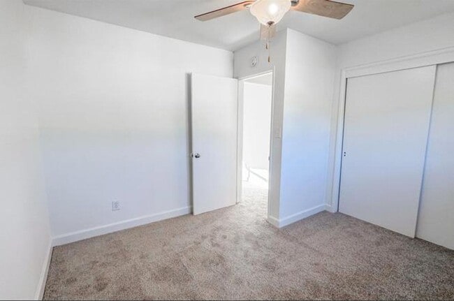 Building Photo - Pine