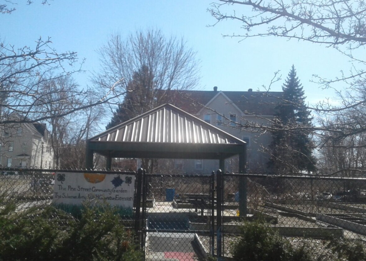 Community garden (that’s our building in the background) - 179 Pine St