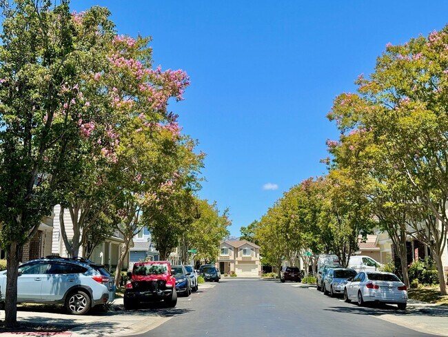 Building Photo - COMING SOON!| $3,750/ 3 BR – BEAUTIFUL ARDENWOOD HOME IN PRIME FREMONT LOCATION!