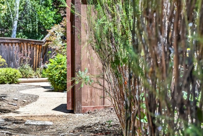 Building Photo - Single-Story Black Diamond Beauty on a Quiet Court with Private Backyard!!