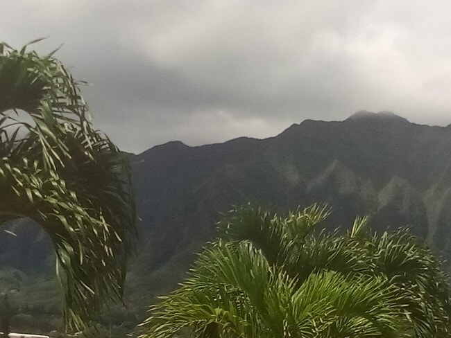 Building Photo - Mololani A2