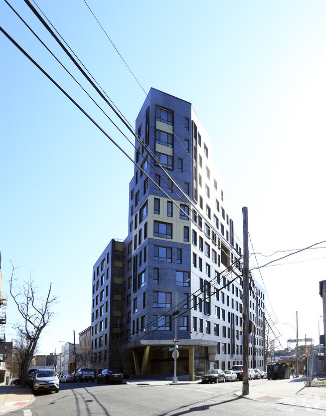 Primary Photo - MLK Plaza Apartments