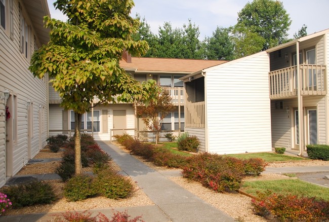 Primary Photo - Evergreen Terrace