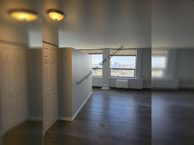 Building Photo - 1455 N Sandburg Terrace