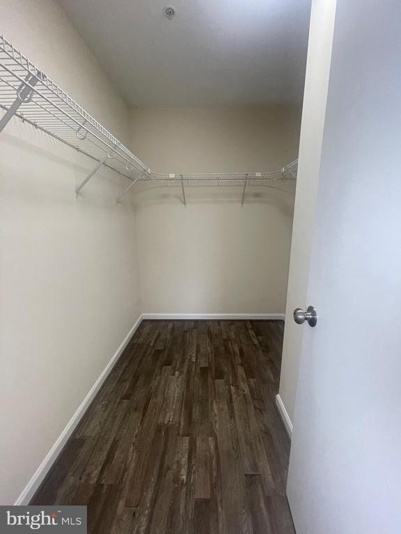 Building Photo - 152 Brookland Ct