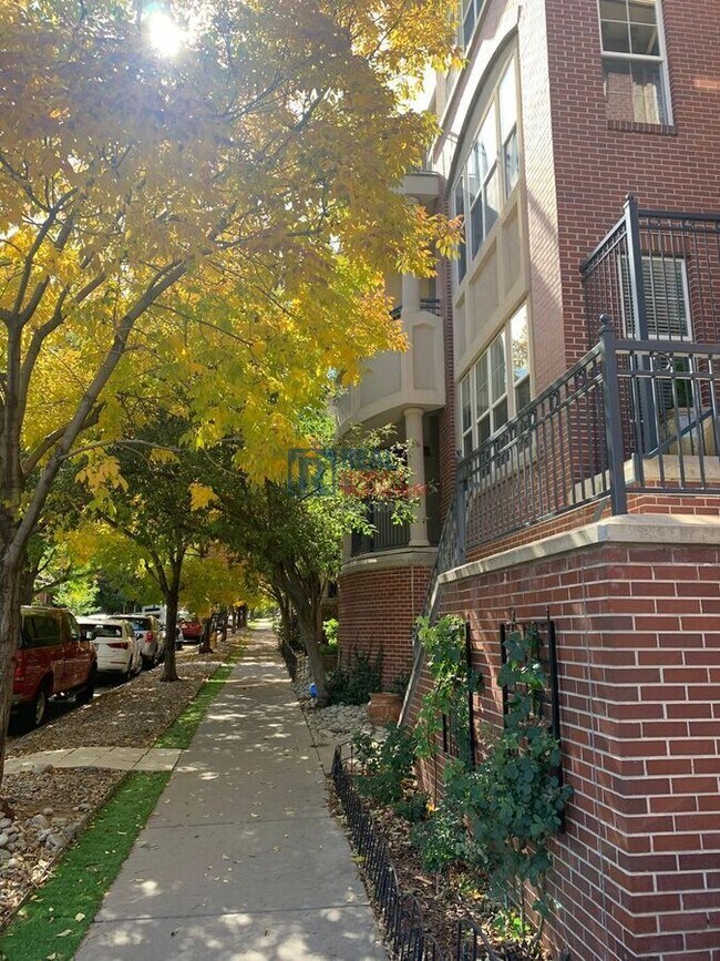 Building Photo - 1489 Steele St