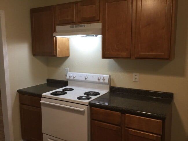 Building Photo - Two Bed House in Stockton, MO!  This house was gutted and rebuilt!  Everything is NEW!