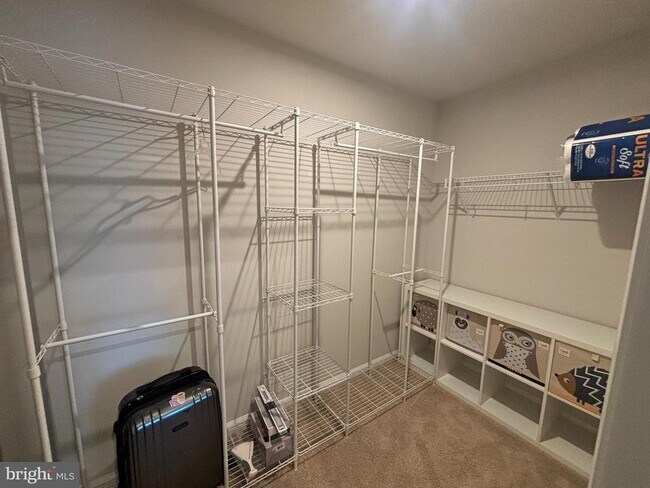 Building Photo - 4105 Bolton Ct