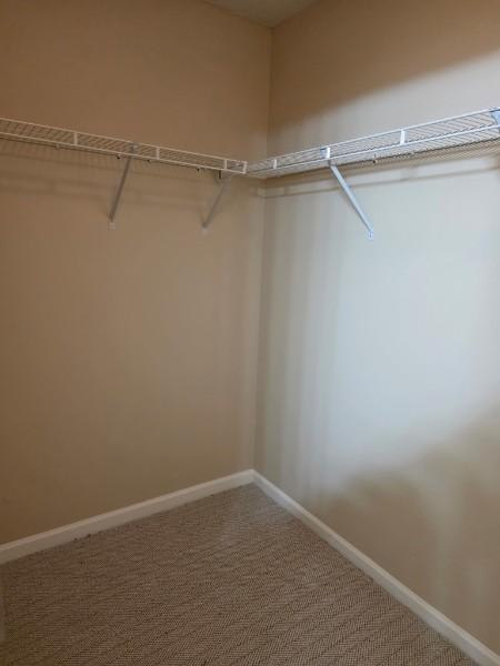 Building Photo - 215 Colser Drive