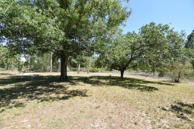 Building Photo - Spacious 3BR 2BA Home in Lehigh Acres  REC...