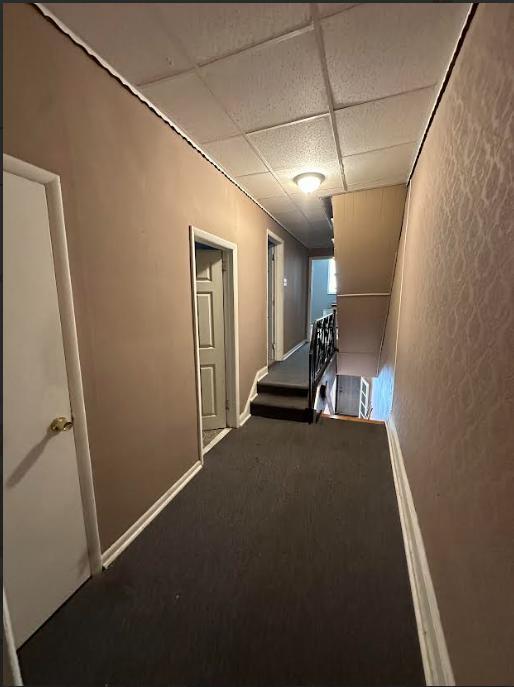 Building Photo - 1225 Snyder Ave