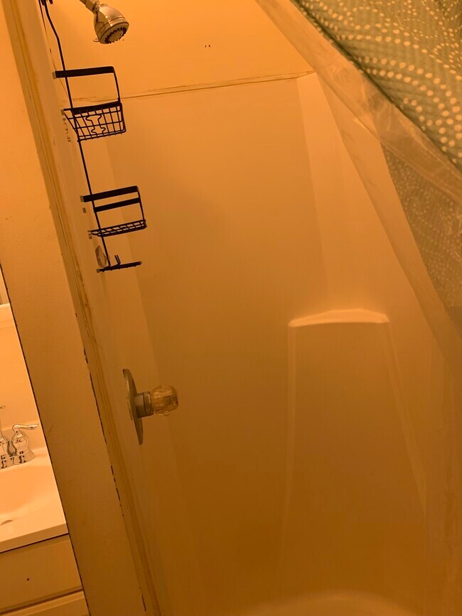 Building Photo - 206 Park St