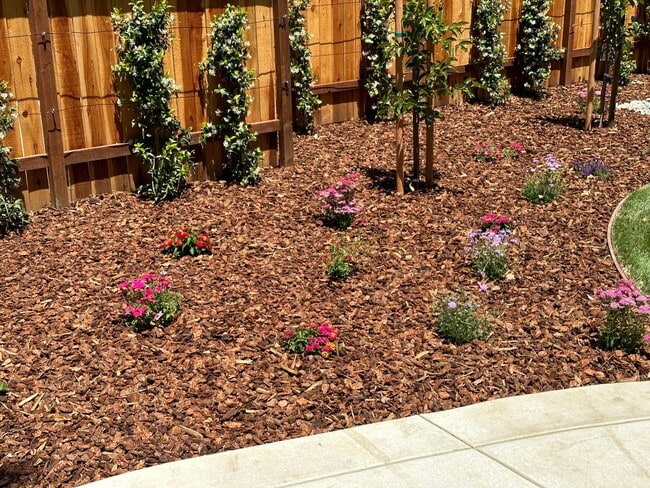 Building Photo - 1402 Clara Ln