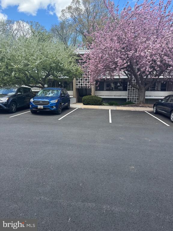 Building Photo - 7553 Spring Lake Dr