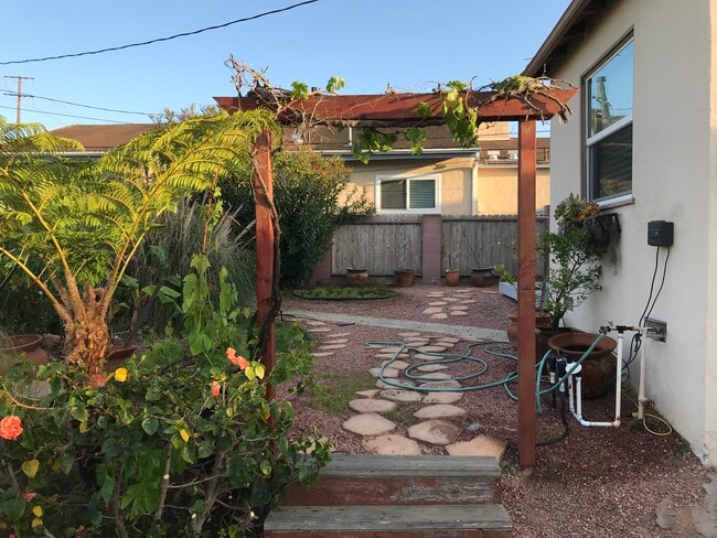 Side walk entry way w/Grape vines - 125 Prospect S Ave