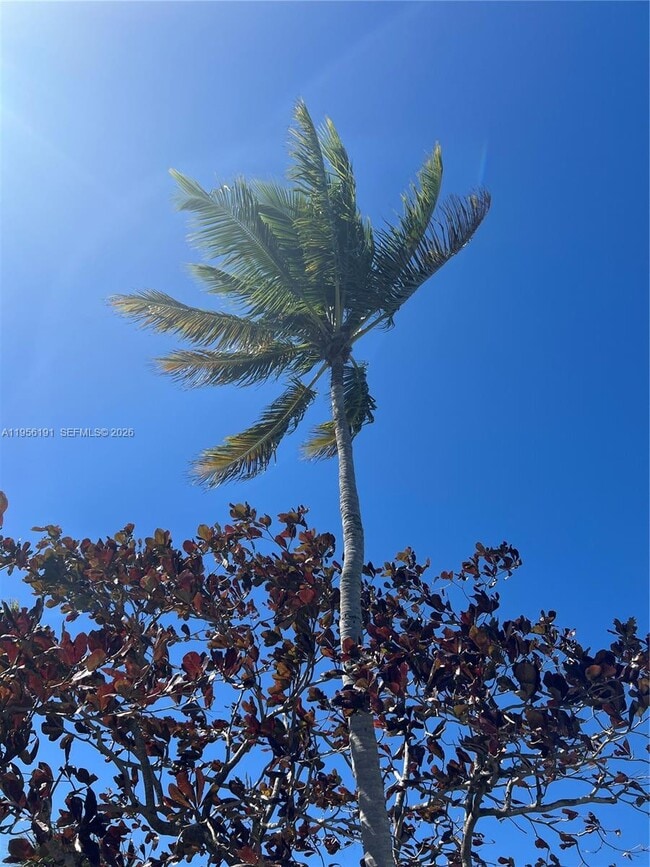 Building Photo - 6484 Miami Lakes Dr