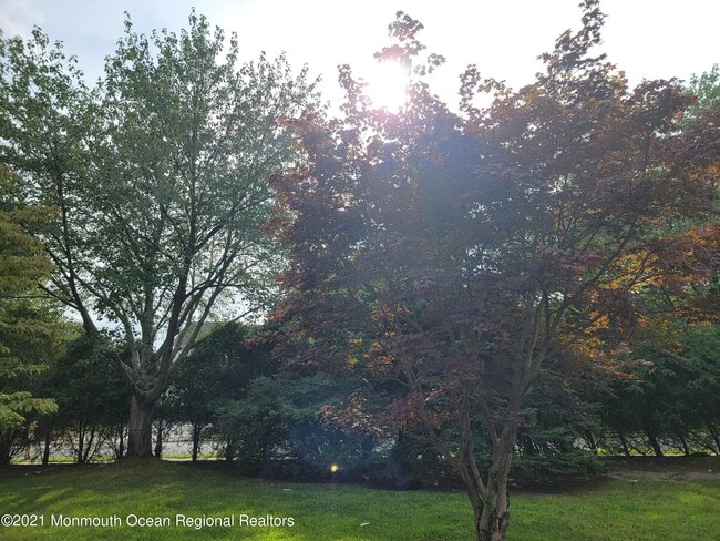 Building Photo - 28 Musket Ln