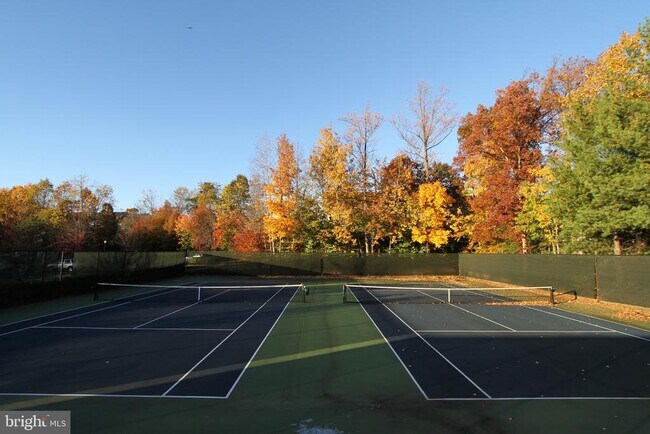 Building Photo - 47699 Whirlpool Square