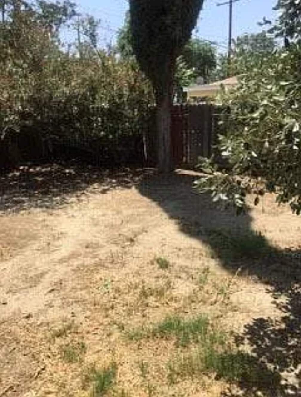 Building Photo - 25982 Tamarisk Dr