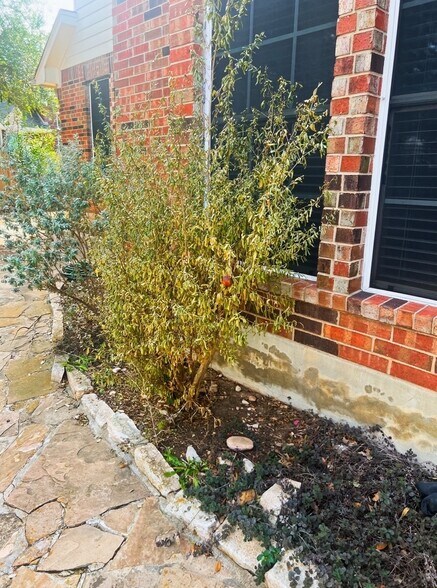 Pomegranate - 15201 Calaveras Dr