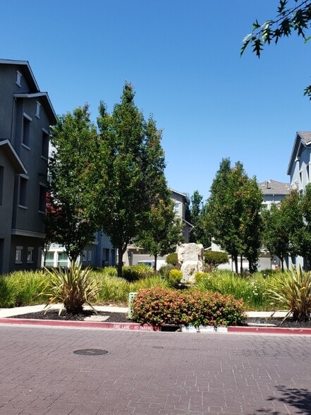 Building Photo - 1319 De Altura Common