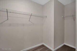 Building Photo - 906 Curly Top Ln