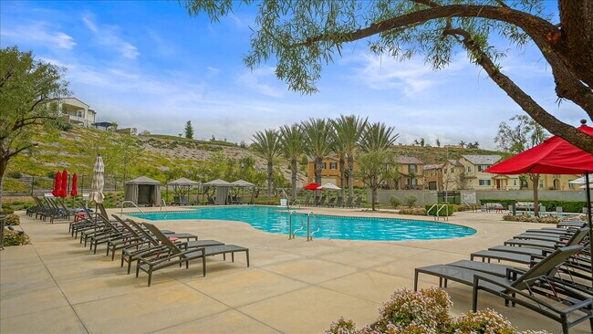 Building Photo - For Lease: Stunning Modern Pool Home in th...