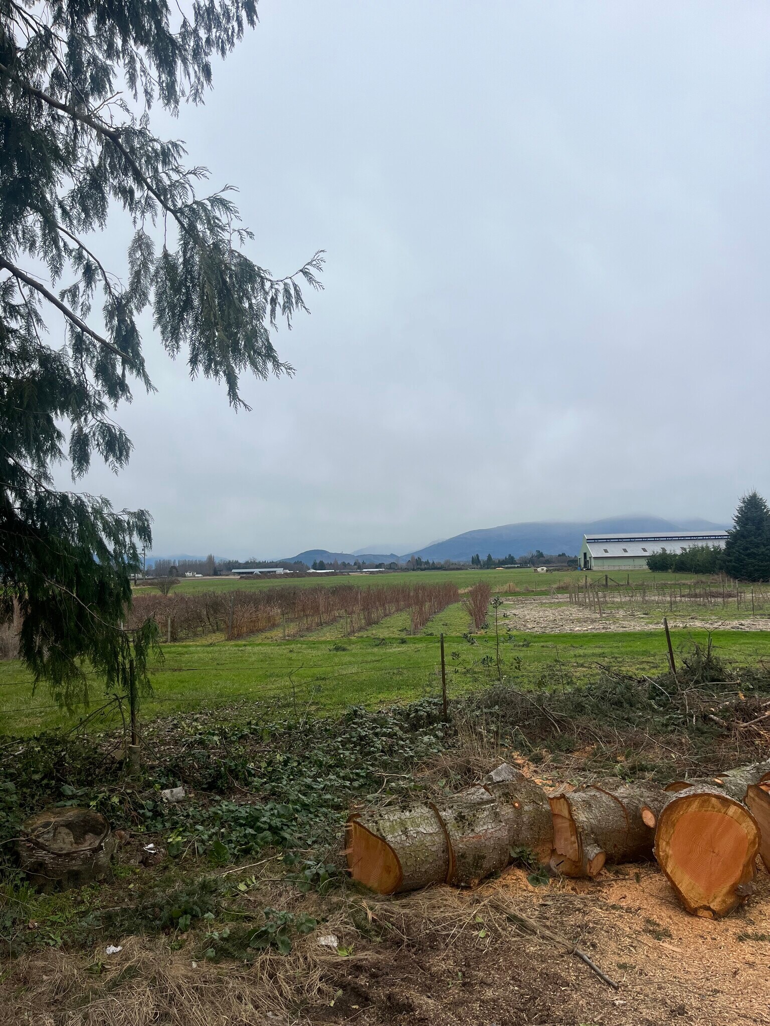 Building Photo - 13075 Avon Allen Rd