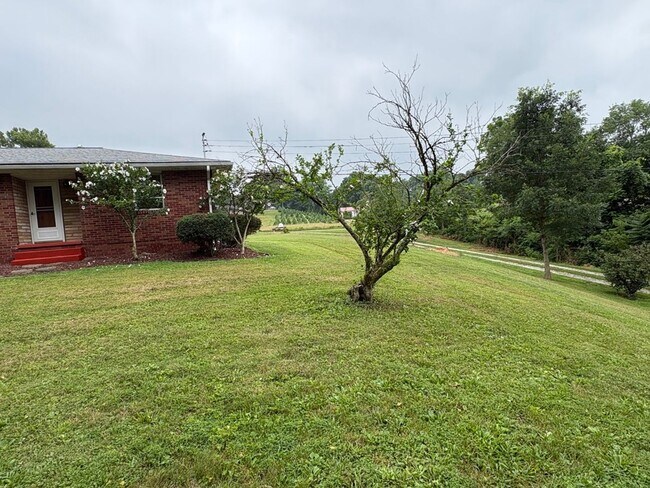 Building Photo - Nice Southside Find