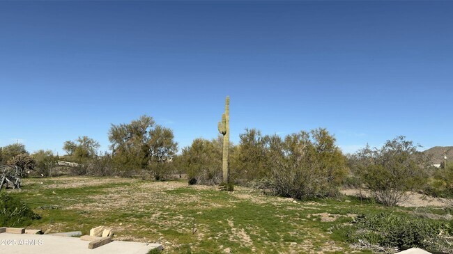 Building Photo - 31819 N 165th Ave