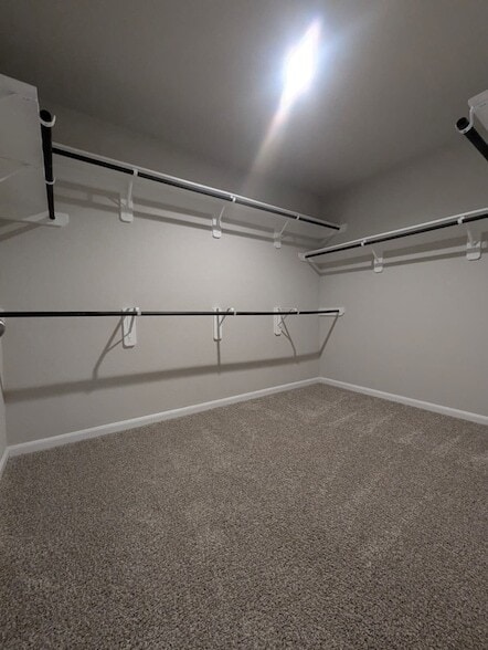 Building Photo - 3518 Windham Way