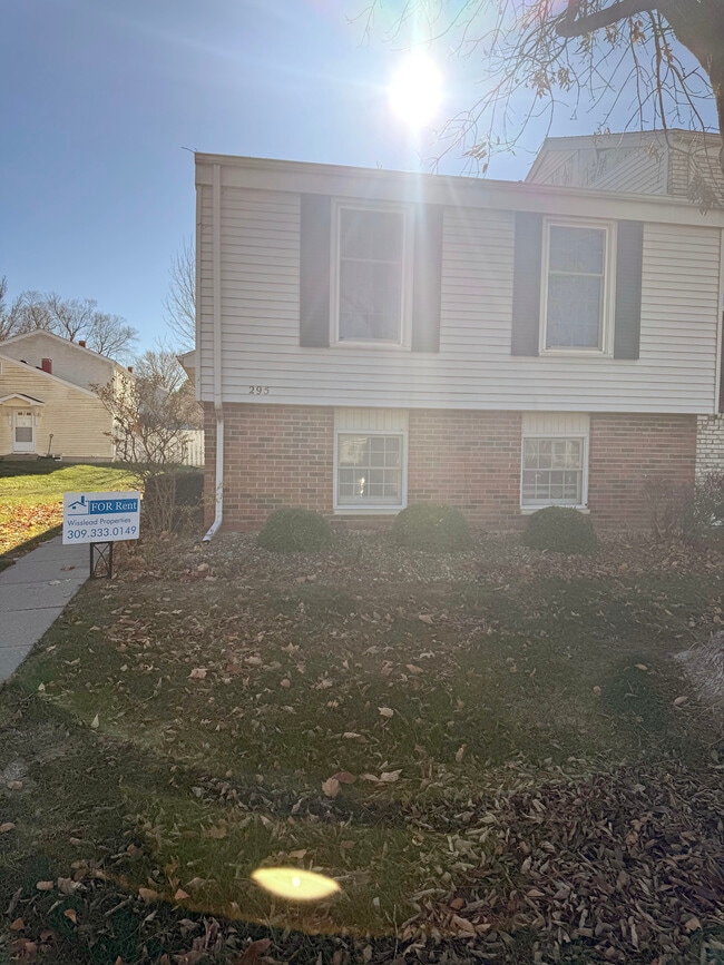 Building Photo - 295 Jamestown Rd