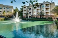 Building Photo - Luxury  1Br 1Ba Condo in Arboretum