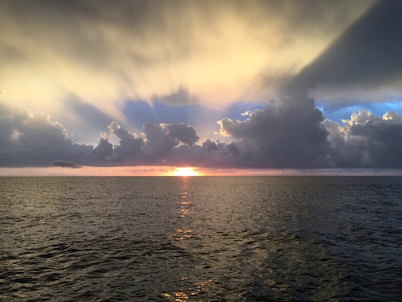 Building Photo - 1001 Arbor Lake Dr