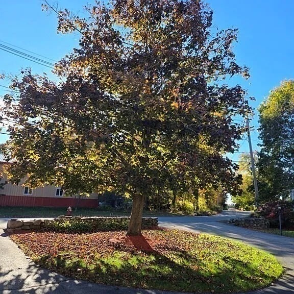 Building Photo - 222 Primrose Hill Rd